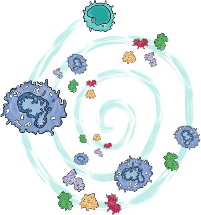 In individuals with familial HLH, inherited genetic abnormalities damage a key 'off switch' in the immune system, such that it struggles to turn off, and cytokine storm develops